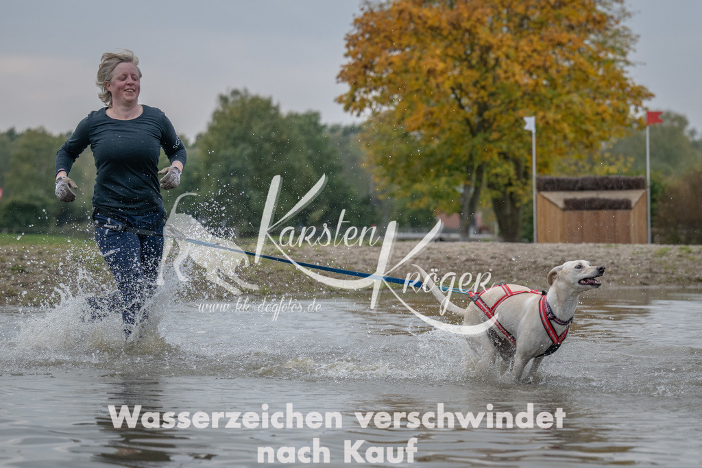1504_ZZ93027 | kk-dogfotos