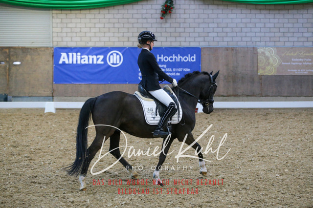 IMG_2799 | Turnierfotos kaufen im Webshop von Daniel Kuhl Photography – entdecke professionelle Reitsportfotos aus Turnieren & Events. Hochwertige Turnierbilder online bestellen & sichern. Jetzt Fotos von Reitsportturnieren kaufen!