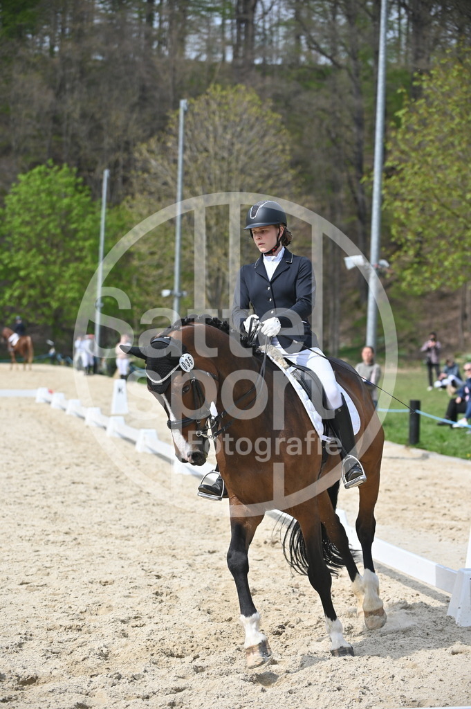 DSC_4148 | sattelsport - Realisiert mit Pictrs.com