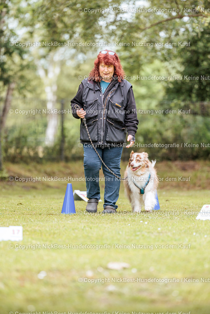 RO-Blumenthal-2026-Nickbest-Hundefotografie-3158 | Dein Hund! Dein Moment! Deine Erinnerungen! Hundefotografie in Bremen Blumenthal. Ich fange die besonderen Momente deines Vierbeiners ein – ob Indoor mit Blitzanlage oder in der freien Natur. Sicher dir dein Moment und dein Termin für eure Erinnerungen.