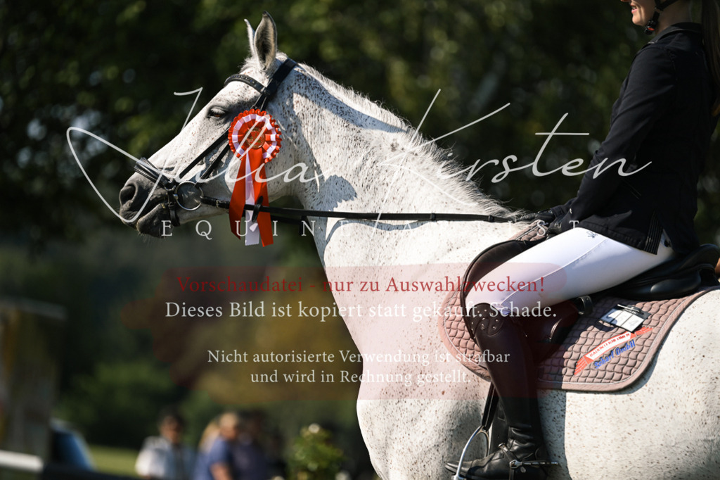 DSC_1545 | Pferde- und Turnierfotografie in Westsachsen. Pferdeportraits, Auftragszeichnungen und intuitive Kunst.