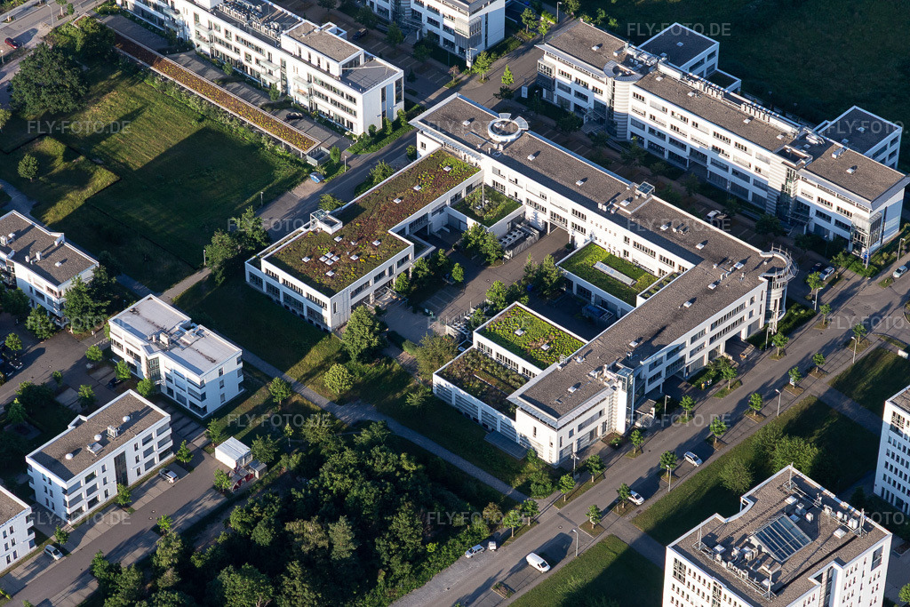 Luftbild: Technologiepark im Ortsteil Rintheim in Karlsruhe im Bundesland Baden-Württemberg in Deutschland. Foto: IMG_115193.jpg vom 13.06.2019 durch Werner Riehm/FLY-FOTO.de