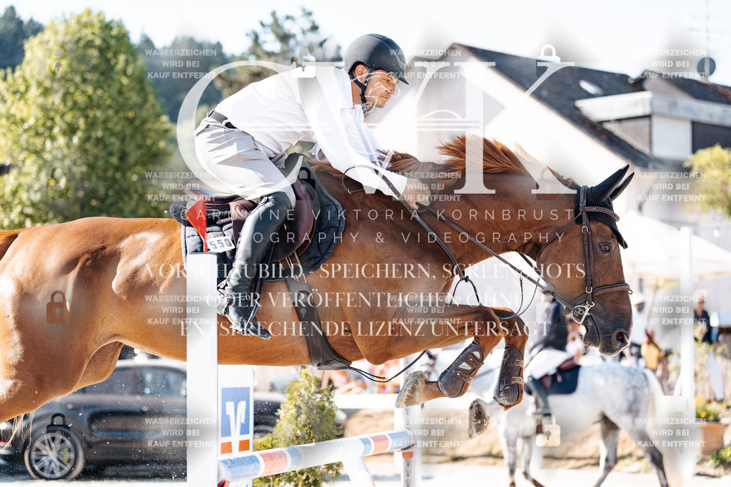 CK904486 | Turnierfotografie Pferdefotografie Trier Rheinland-Pfalz Pferdesport Reitsport Tierfotografie Sportfotografie Pferdevideo Pferdevideografie Equestrianvideography equestrianphotography  - Realisiert mit Pictrs.com