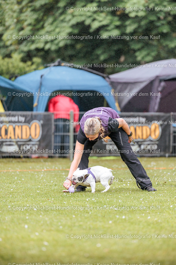 RO-Blumenthal-2026-Nickbest-Hundefotografie-0096 | Dein Hund! Dein Moment! Deine Erinnerungen! Hundefotografie in Bremen Blumenthal. Ich fange die besonderen Momente deines Vierbeiners ein – ob Indoor mit Blitzanlage oder in der freien Natur. Sicher dir dein Moment und dein Termin für eure Erinnerungen.