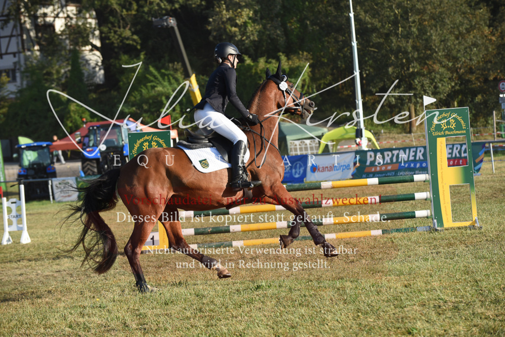 DSC_4869 | Pferde- und Turnierfotografie in Westsachsen. Pferdeportraits, Auftragszeichnungen und intuitive Kunst.