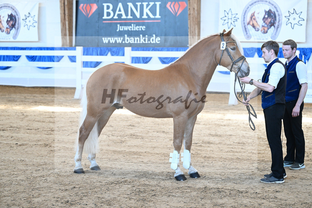Kat-Nr. 2 v. Bentley_Haas_8260020 | hf-fotografie - Realizzato con Pictrs.com