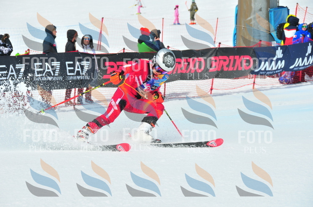 DSC_5841 | holidayphoto