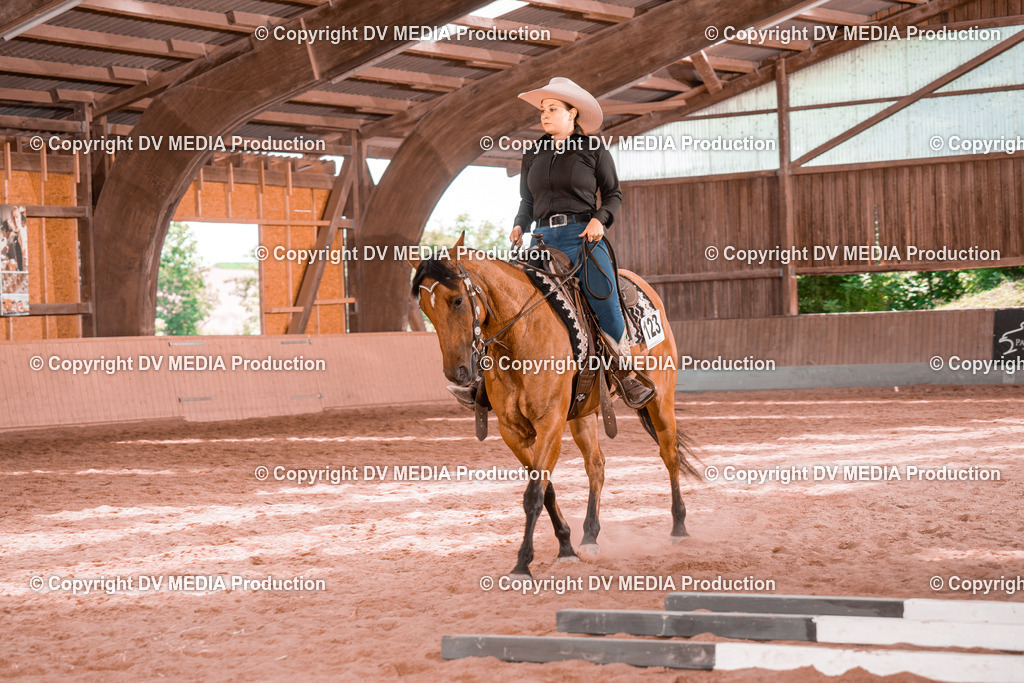 NE300477 | dv-media-shop - Realisiert mit Pictrs.com