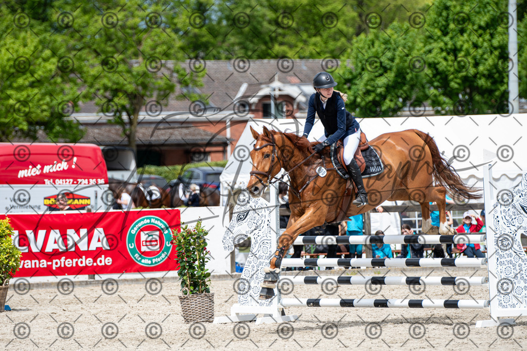 KPT_5576 | andre_photographic