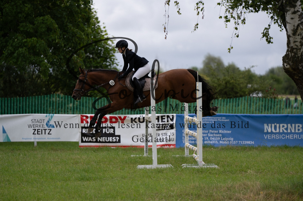 A7V03970 | Pferdefotograf