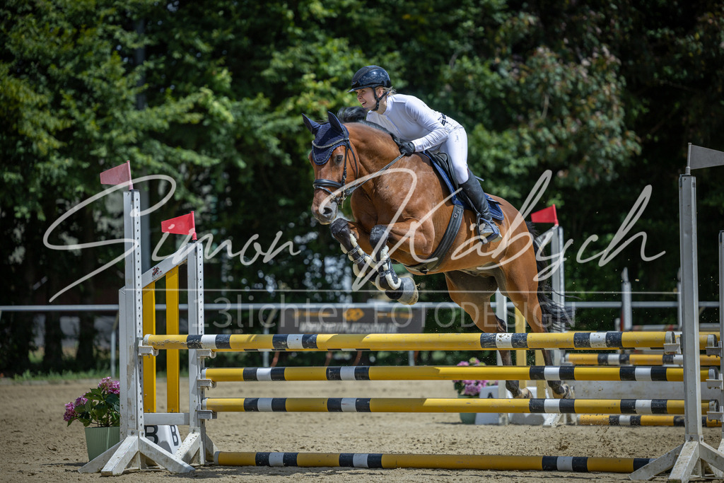 20260704-_3LI9780 | Tierfotografie Pferde, Hunde, Katzen, Haustiere.
Turnierfotografie Reitturniere, Reiten, Springreiten, Dressur in Hanau, dem Main-Kinzig-Kreis und dem Rhein-Main- Gebiet um Frankfurt