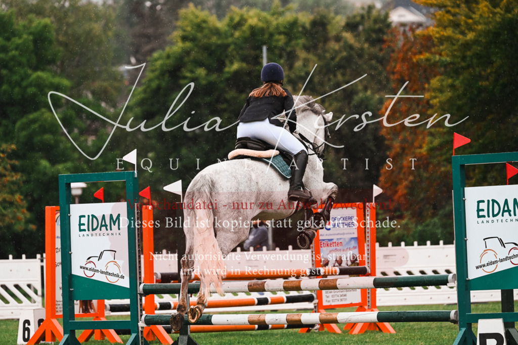 DSC_6632 | Pferde- und Turnierfotografie in Westsachsen. Pferdeportraits, Auftragszeichnungen und intuitive Kunst.
