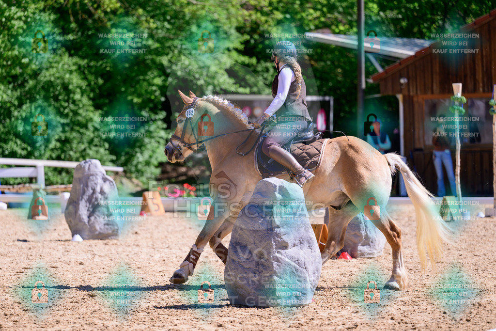 01052026-Giesenbach-02-Stiltrail-0499 | Fokus Hufschlag Fotografie - Realisiert mit Pictrs.com