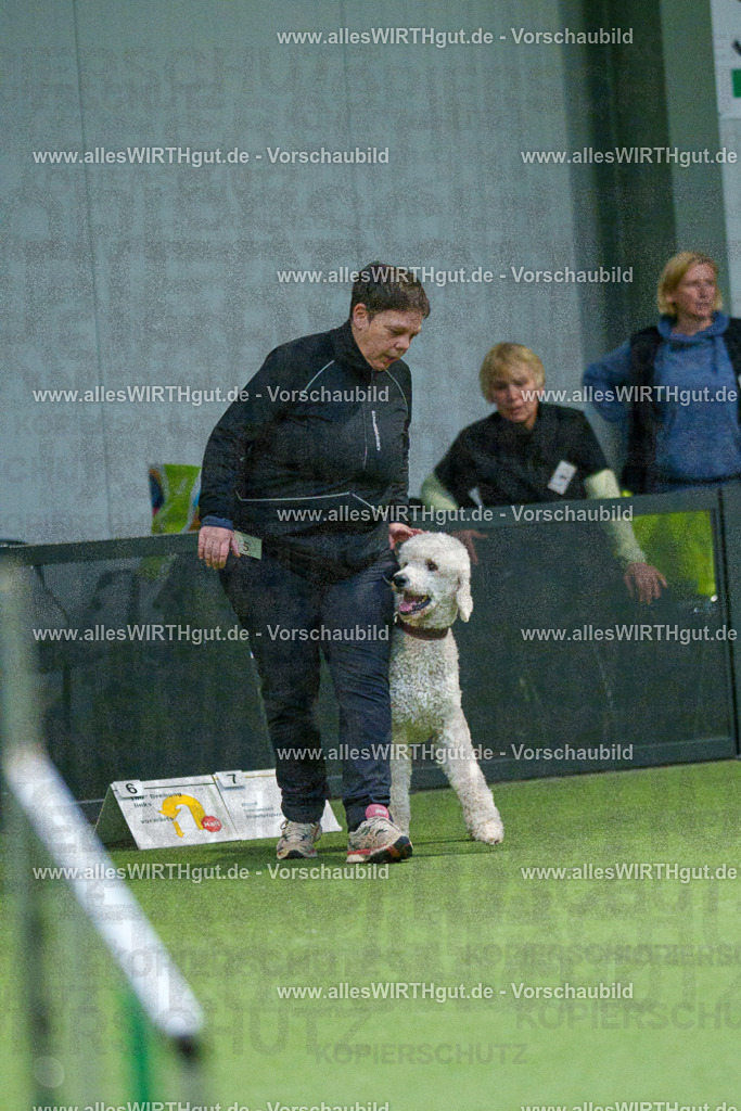 7R509897 | Professionelle Tierfotografie in Mönchengladbach von Daniel Wirth (allesWIRTHgut). Liebevolle & natürliche Bilder von Hunden & Katzen für unvergessliche Erinnerungen.