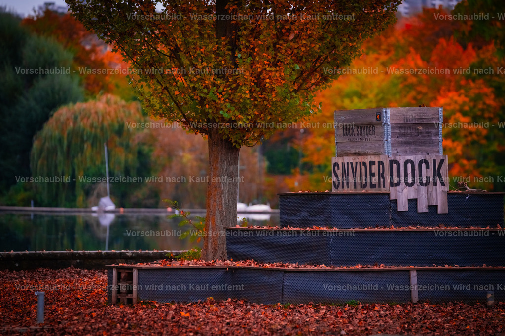 DSC05523 | marcuslinek