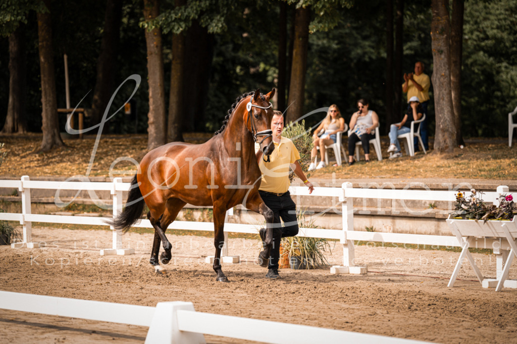 6.Fr00056 | Leoni Ertmer Photography - Realisiert mit Pictrs.com