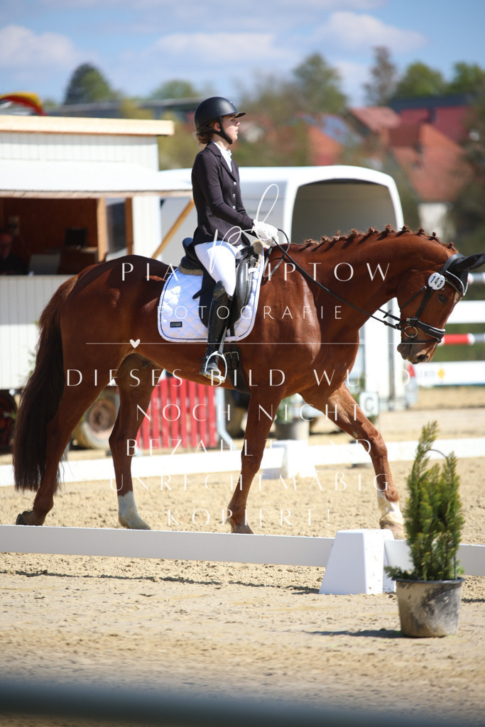 IMGT7313 | pl-fotografie