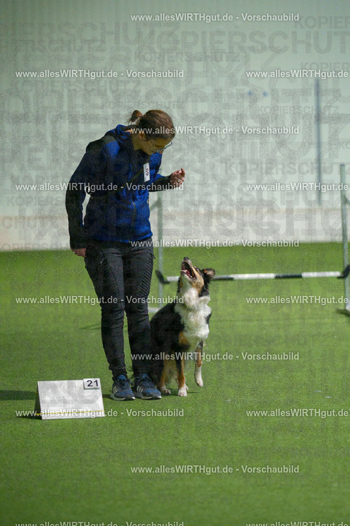 7R508209 | Professionelle Tierfotografie in Mönchengladbach von Daniel Wirth (allesWIRTHgut). Liebevolle & natürliche Bilder von Hunden & Katzen für unvergessliche Erinnerungen.