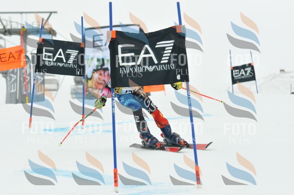 DSC_8500 | holidayphoto