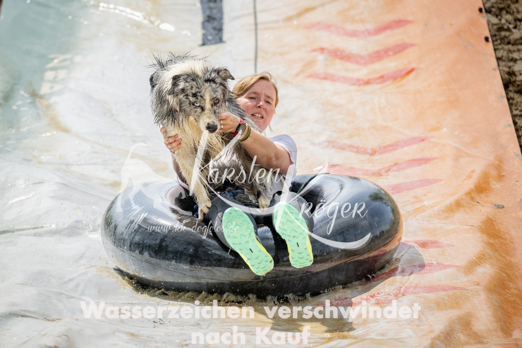 1254_ZZ99514 | kk-dogfotos