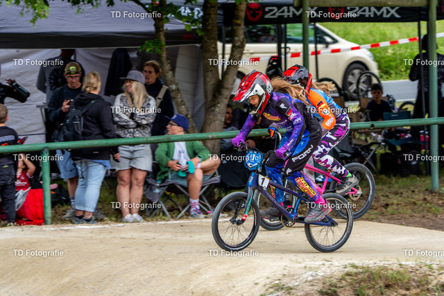 BayBMX2026-06215 | Fotogalerie von Thomas Dettweiler mit Eventbildern und lizenzfreien Fotos. Perfekt als Wandbild, für Büro, Website oder private Nutzung. - Realisiert mit Pictrs.com