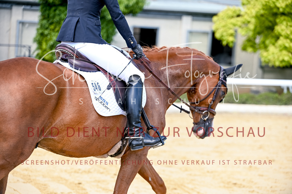 Schugtsche-Aluta25-49.Dressurpferdeprf.A-96 | Schugtsche Fotografie - Realisiert mit Pictrs.com