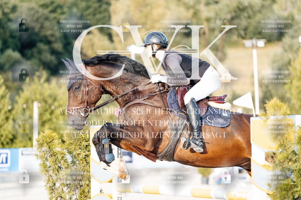 CK900949 | Turnierfotografie Pferdefotografie Trier Rheinland-Pfalz Pferdesport Reitsport Tierfotografie Sportfotografie Pferdevideo Pferdevideografie Equestrianvideography equestrianphotography  - Realisiert mit Pictrs.com