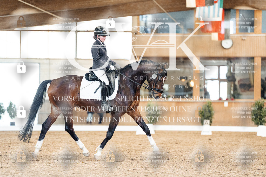 CK909883 | Turnierfotografie Pferdefotografie Trier Rheinland-Pfalz Pferdesport Reitsport Tierfotografie Sportfotografie Pferdevideo Pferdevideografie Equestrianvideography equestrianphotography  - Realisiert mit Pictrs.com