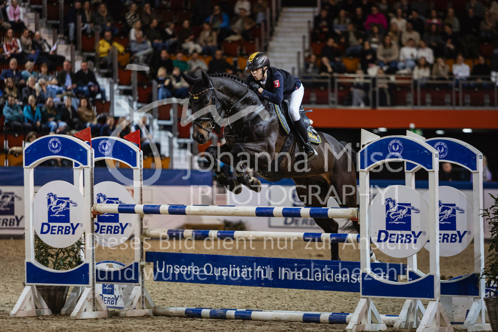 250108_Muenster_Hengstpräsentation-132 | Deine schönsten Turniermomente als professionelle Fotos! Entdecke hochwertige Pferdesport-Fotografie im Online-Shop. Jetzt Fotos finden & bestellen!