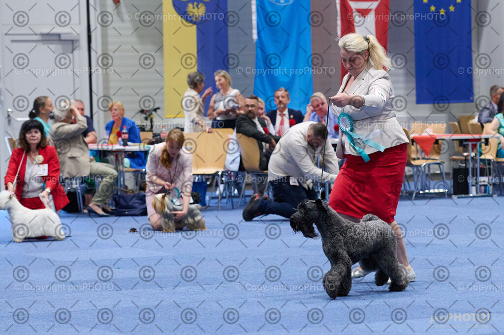 202406_ÖKV-IHA-Tulln24_DSC_2976 | proPHOTO - Realisiert mit Pictrs.com