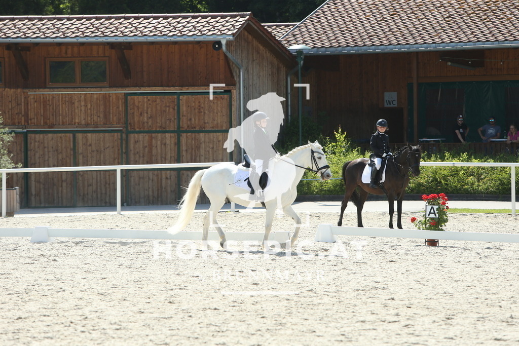 DL2Q0725 | Willkommen bei Brunnmayr - Design & Fotografie – Ihrem Spezialisten für Reitturniere und Pferdeveranstaltungen in Oberösterreich, Salzburg und Bayern! Seit über 17 Jahren sind wir leidenschaftlich dabei.