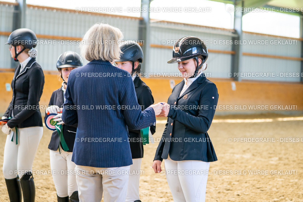 DSC09776 | Pferdegrafie