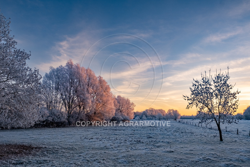 20221218-_DSF2443 | Schneebedeckte Landschaft bei eisiger Kälte - Realisiert mit Pictrs.com