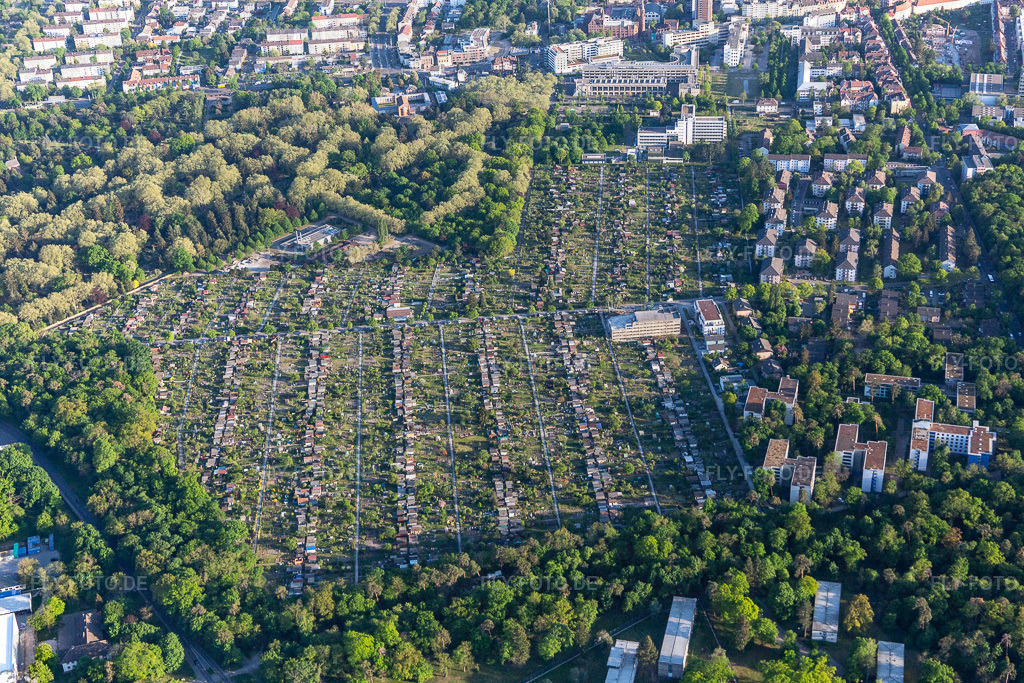 Kleingartenverein Hagsfelder Allee eV | Luftbild: Kleingartenverein Hagsfelder Allee eV im Ortsteil Oststadt in Karlsruhe im Bundesland Baden-Württemberg in Deutschland. Foto: IMG_120485.jpg vom 23.04.2020 durch ©2025 Werner Riehm fly-foto.de/copyright - Realisiert mit Pictrs.com
