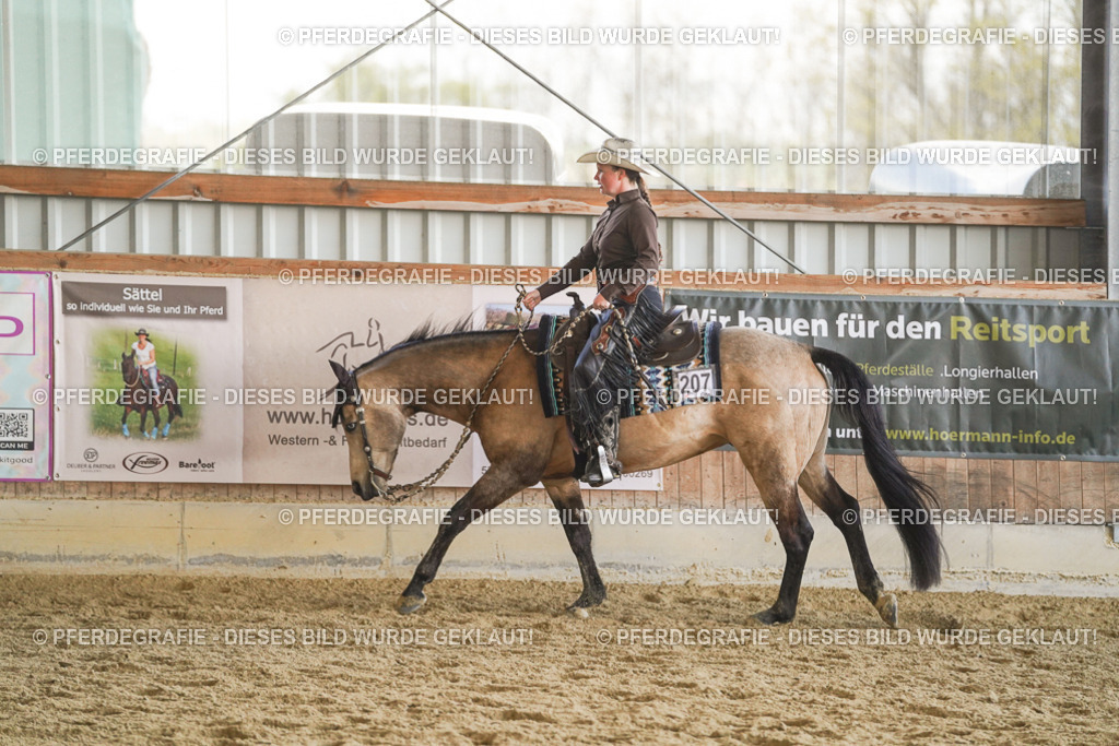 DSC07894 | Pferdegrafie