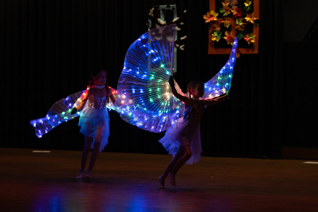 DSC08694 | Tinu Müller Fotografie- Bildershop - Realisiert mit Pictrs.com