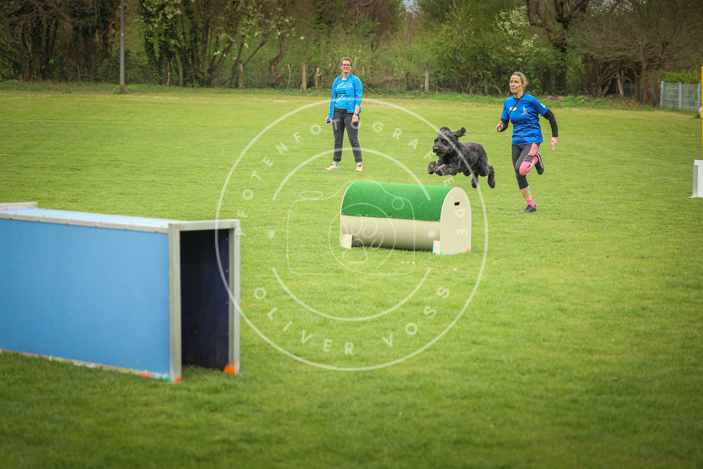 Pfotenfotografie_0L8A9863 | Hundefotografie, Tierfotograf, Pfotenfotografie, Fotoshooting Hund, Hunde Portrait, Hundesport, Hundeportraits, Heideshooting, Hunde, Sportfotograf, Hundefotograf, Turnierhundsport, THS,  - Realisiert mit Pictrs.com