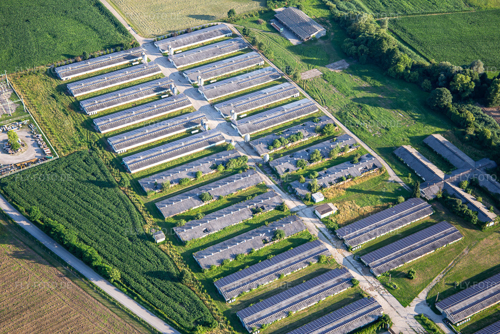Luftbild: Ehemalige Gewächshäuser mit PV-Anlage und Fahradclub Kolesarski klub perutnina Ptuj in Ptuj im Bundesland Slowenien in Slowenien. Foto: IMG_137313.jpg vom 08.07.2023 durch Werner Riehm/FLY-FOTO.deDobrodošli na spletnih straneh kolesarskega kluba Perutnina Ptuj