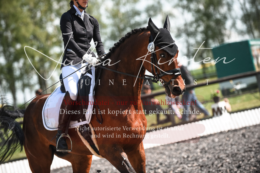 DSC_8917 | Pferde- und Turnierfotografie in Westsachsen. Pferdeportraits, Auftragszeichnungen und intuitive Kunst.