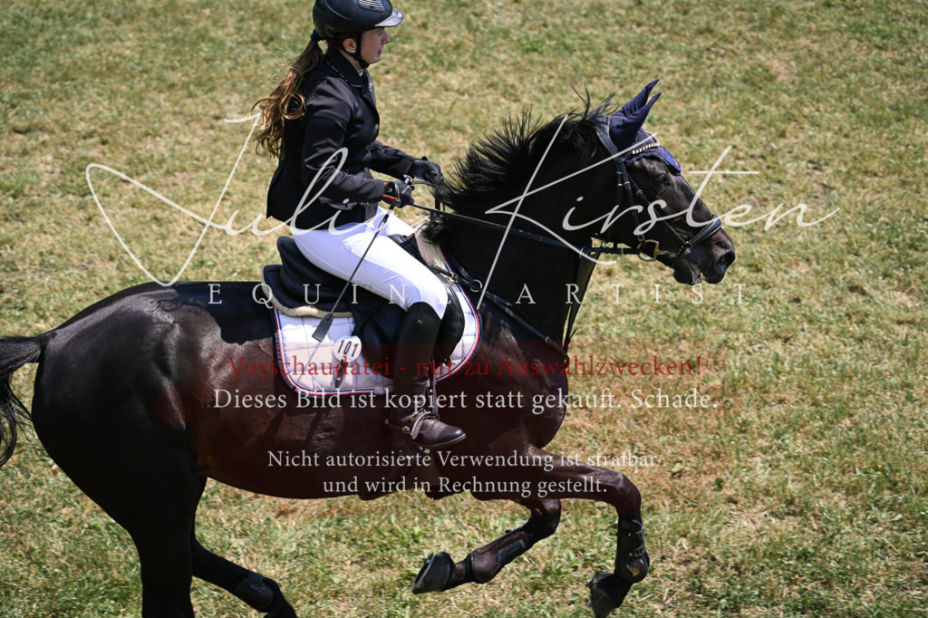 DSC_9679 | Pferde- und Turnierfotografie in Westsachsen. Pferdeportraits, Auftragszeichnungen und intuitive Kunst.
