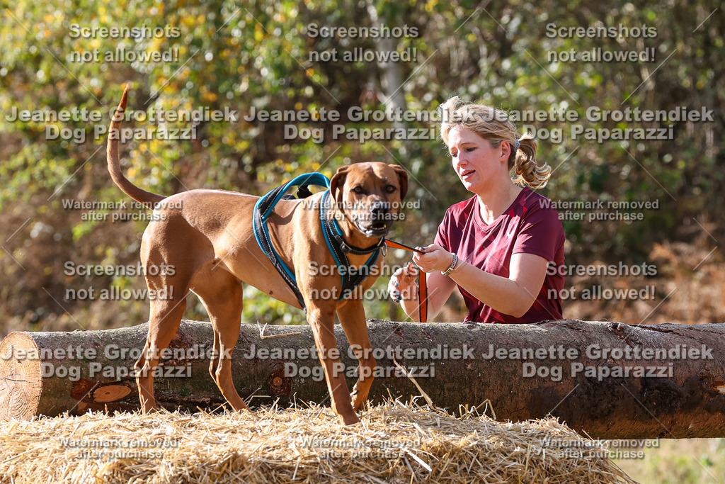 Dog Paparazzi - Strongdog 10-25-5796 | Dog Paparazzi Jeanette Grottendiek Fotografie & Videografie - Realisiert mit Pictrs.com