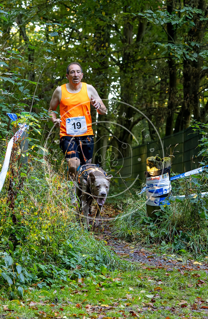 Pfotenfotografie_DV3A6411 | Hundefotografie, Tierfotograf, Pfotenfotografie, Fotoshooting Hund, Hunde Portrait, Hundesport, Hundeportraits, Heideshooting, Hunde, Sportfotograf, Hundefotograf, Turnierhundsport, THS,  - Realisiert mit Pictrs.com