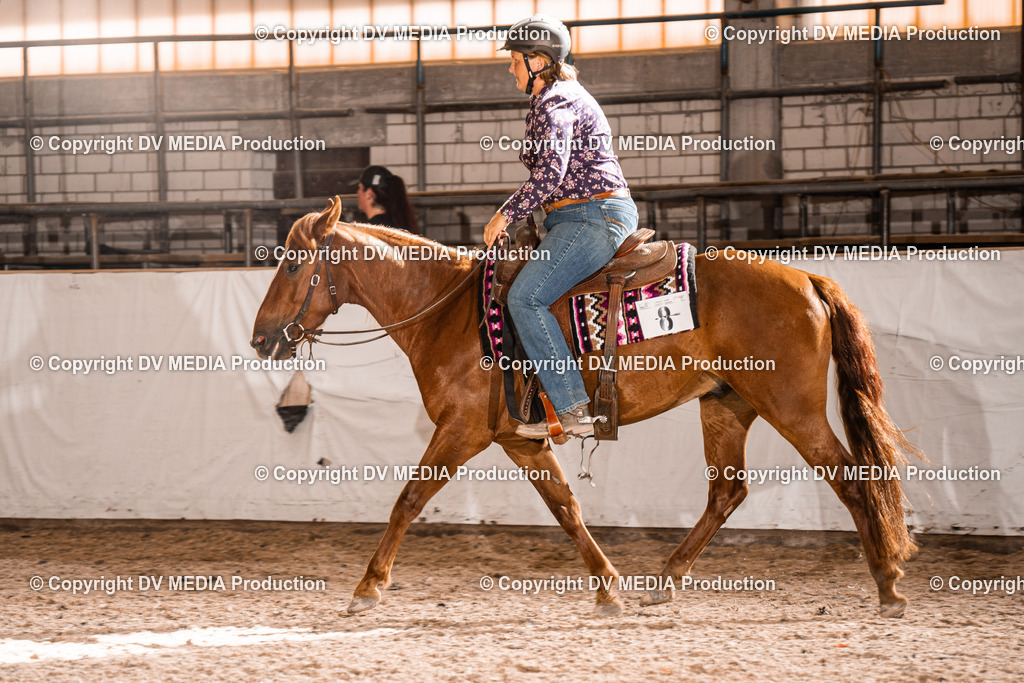 ZH100376 | dv-media-shop - Realisiert mit Pictrs.com