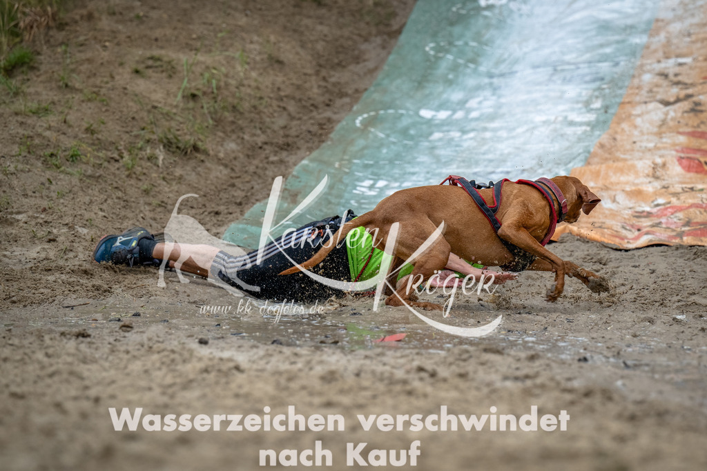 1213_ZZ91351-Bearbeitet-2 | kk-dogfotos