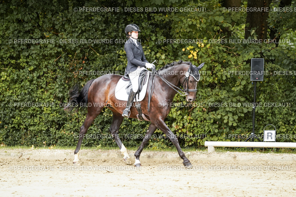 DSC03853 | Pferdegrafie