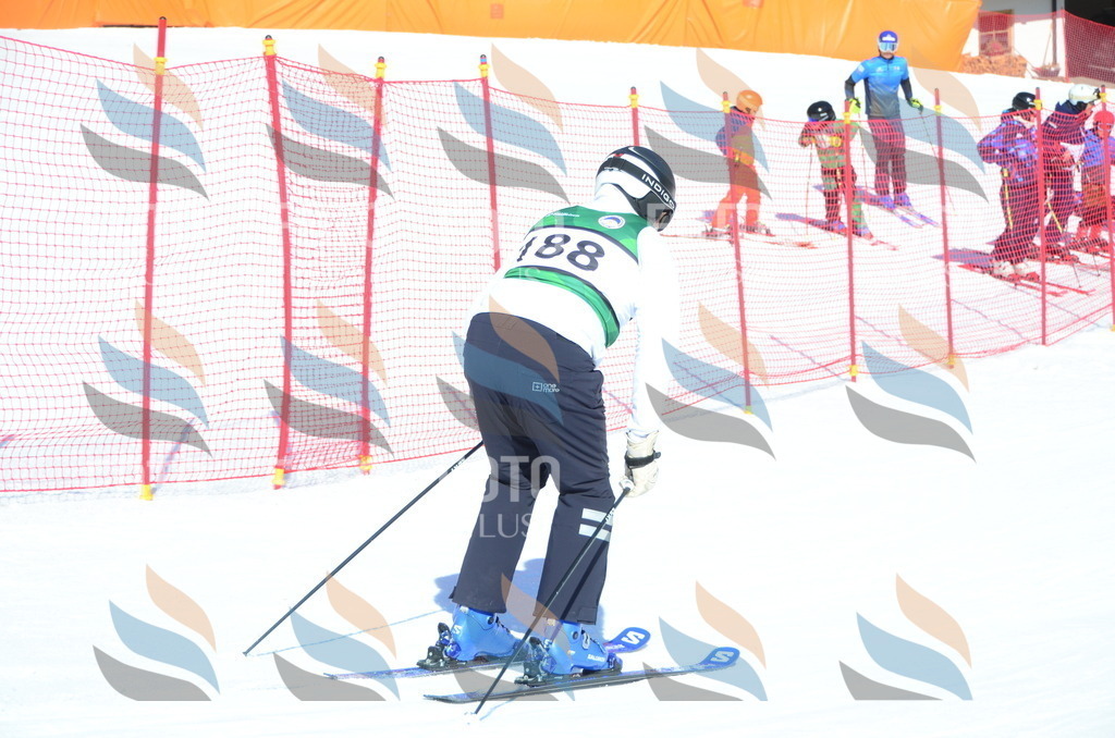 C6486 | holidayphoto