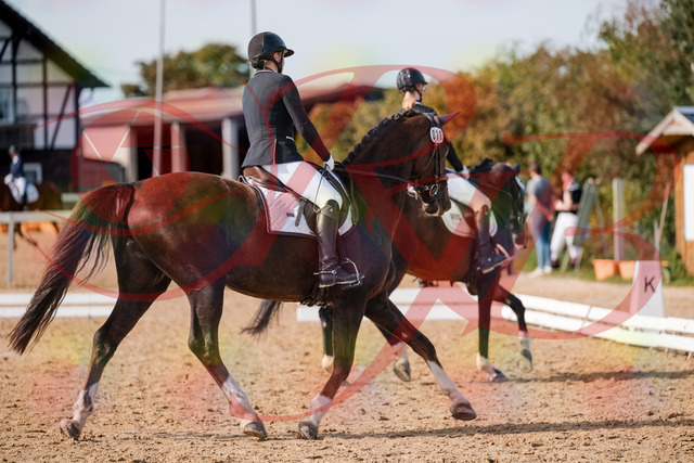 2026_10_03_Siefer-Hof_132119_Z63_82500506 | Professionelle Reitsport-, Turnier- und Eventfotografie von Robert Broda. Galerien mit ausgewählten und bearbeiteten Bildern direkt online ansehen und bestellen.