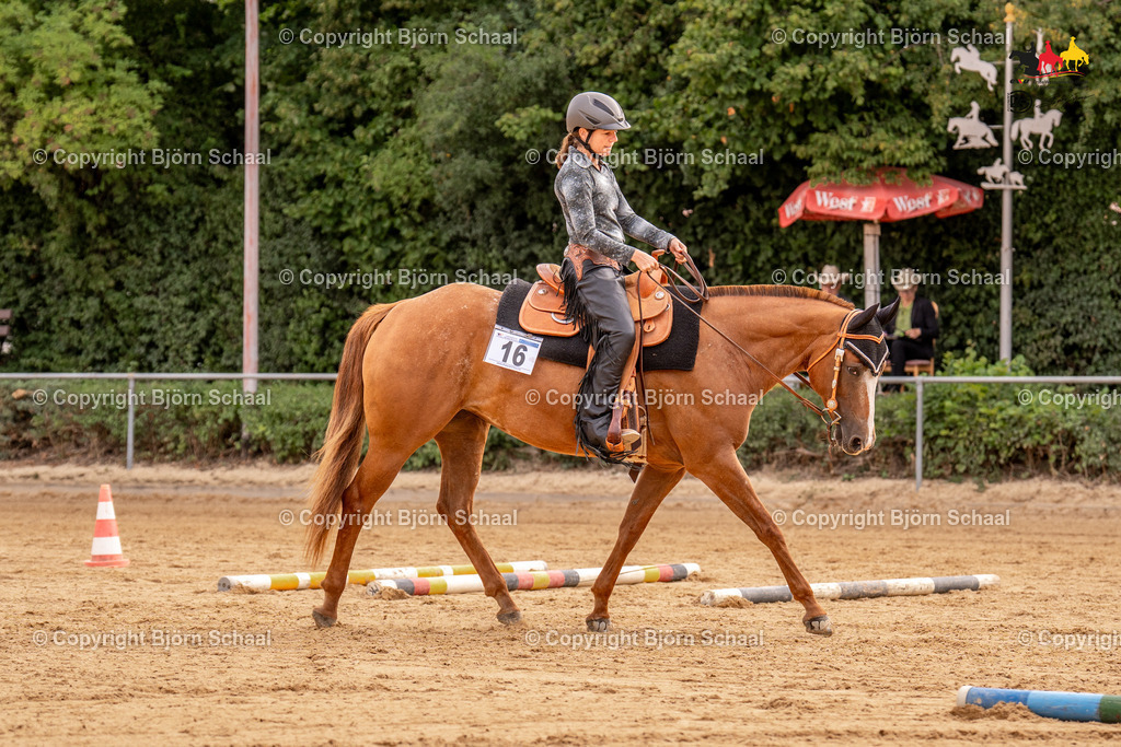 LMS07750 | BS-foto