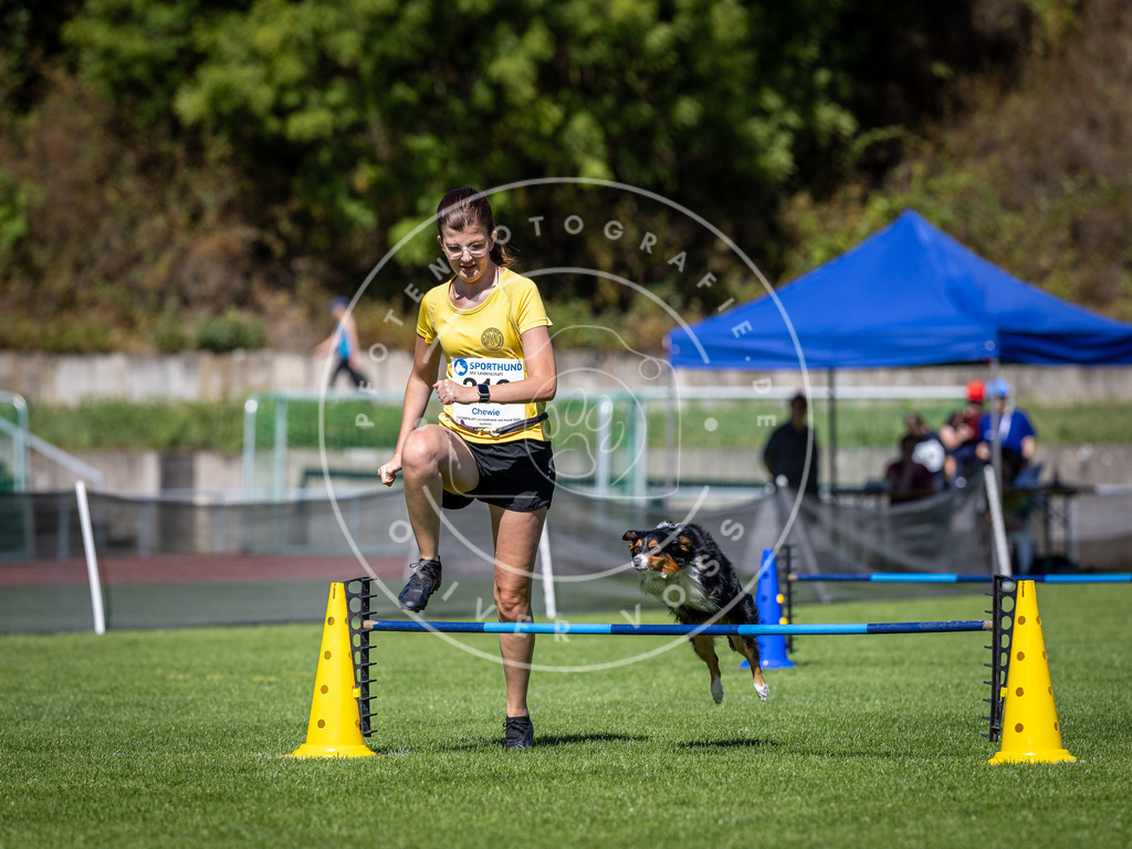 Pfotenfotografie_DV3A5310 | Hundefotografie, Tierfotograf, Pfotenfotografie, Fotoshooting Hund, Hunde Portrait, Hundesport, Hundeportraits, Heideshooting, Hunde, Sportfotograf, Hundefotograf, Turnierhundsport, THS,  - Realisiert mit Pictrs.com