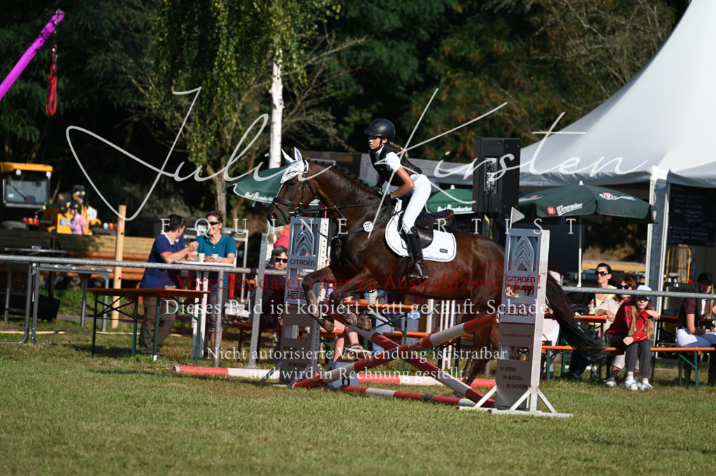 DSC_4935 | Pferde- und Turnierfotografie in Westsachsen. Pferdeportraits, Auftragszeichnungen und intuitive Kunst.